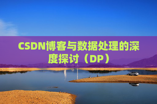 CSDN博客与数据处理的深度探讨（DP）
